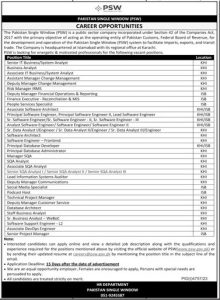 Jobs in Pakistan Single Window Company 2024