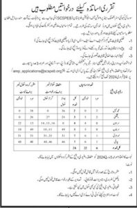 Jobs in Society Community Strategic and Promotion of Education Balochistan