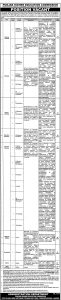 Punjab Higher Education Commission Jobs 2024 Apply Online