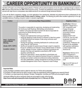 The Bank of Punjab Jobs 2024
