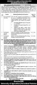 Agriculture University Faisalabad Jobs March 2024 Apply Online
