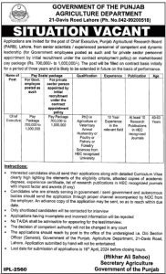 Chief Executive Jobs in Agriculture Department Punjab 2024