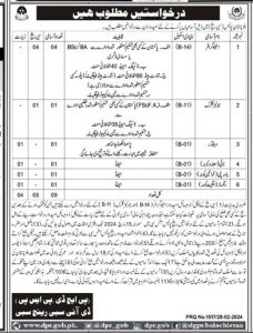 Jobs in Balochistan Police for the Post of Stenographer and Others 2024