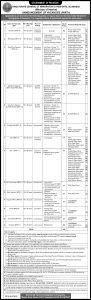 Jobs in DGIP Ministry of Interior March 2024