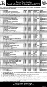 Jobs in Punjab Information Technology Board 2024