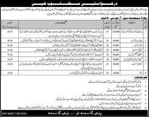 Jobs in Record Management Cell RMC Sindh 2024