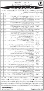 Jobs in Shaheed Mohtarma Benazir Bhutto Institute of Trauma 2024