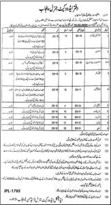 Situations Vacant in the Office of Advocate General Punjab for Stenographer and Others 2024