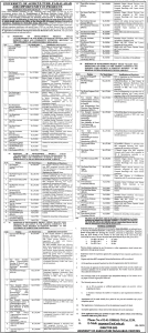 University of Agriculture Faisalabad Jobs March 2024