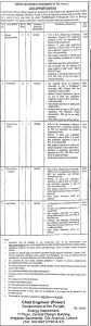 Jobs in Energy Department Govt of Punjab 2024