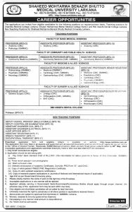 Jobs in Shaheed Mohtarma Benazir Bhutto Medical University Larkana 2024