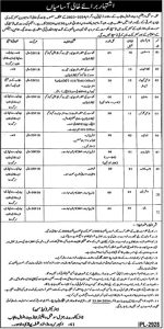 Social Welfare Department Jobs Punjab 2024