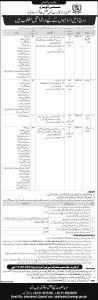 Central Directorate of National Savings Jobs 2024