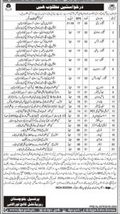 Jobs in Balochistan Residential College Loralai 2024 Apply Now