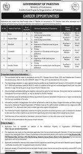 Jobs in Ministry of Commerce of Pakistan 2024