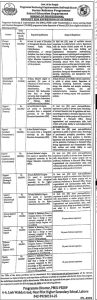 Jobs in PMIU Programme Monitoring and Implementation Unit Punjab 2024