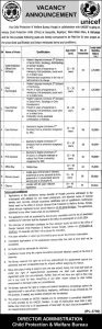 Jobs in The Child Protection and Welfare Bureau Punjab May 2024
