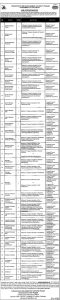 Jobs in The Infrastructure Development Authority of Punjab IDAP 2024