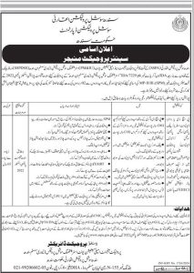 Senior Manager Required at Sindh Social Protection Authority SSPA 2024
