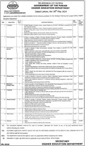 Jobs in Higher Education Department Govt of Punjab 2024