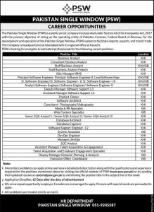 Jobs in Pakistan Single Window Company June 2024