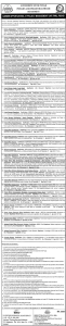 Jobs in Primary and Secondary Healthcare Department Govt of Punjab 2024