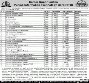 Jobs in Punjab Information Technology Board 2024 Apply Now