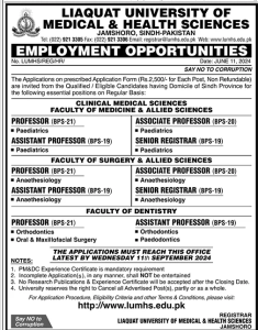 Liaquat University of Medical and Health Sciences Jamshoro Sindh Jobs 2024