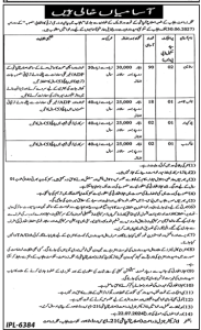 Jobs in Agriculture Department Punjab July 2024