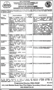 Jobs in PMIU Programme Monitoring and Implementation Unit Punjab 2024