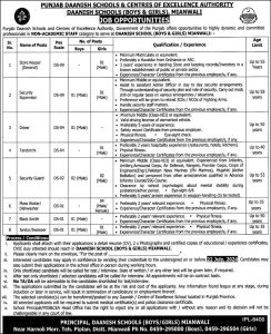 Jobs in Punjab Daanish Schools Mianwali 2024