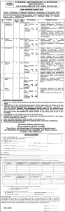 Jobs in Tourism, Archaeology and Museums Department Govt of Punjab 2024