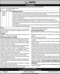 Jobs in WAPDA as Individual Consultant 2024