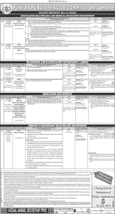 PPSC Jobs Advertisement 13 Apply Online 2024