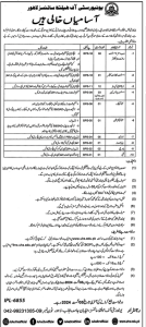 University of Health Sciences Lahore Career Opportunities July 2024