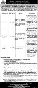 Jobs in Primary and Secondary Healthcare Department Govt of Punjab 2024