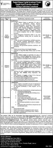 Jobs in Punjab Human Capital Investment Project 2024