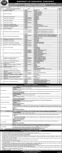 Jobs in University of Sargodha 2024 Apply Now