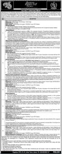 Pakistan Institute of Fashion and Design Jobs 2024