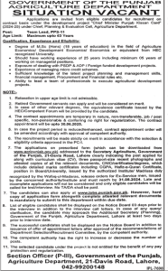 Team Leader Required at Agriculture Department Govt of Punjab 2024