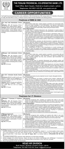 The Punjab Provincial Co-Operative Bank LTD PPCBL Jobs 2024